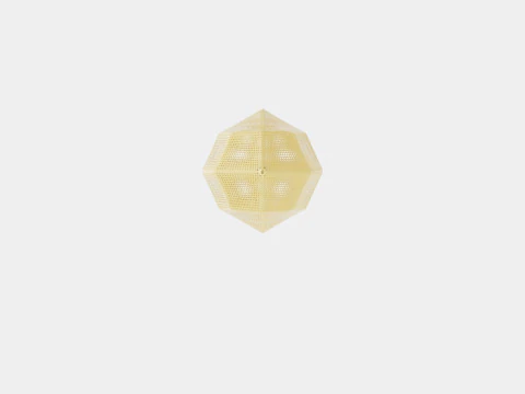 Etch Brass Ceiling Lamp 50cm 3D Model