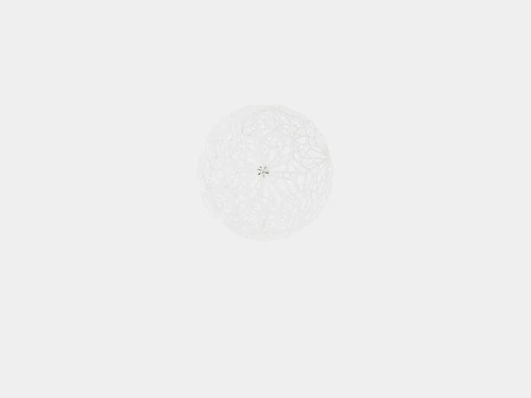 Etch Web Steel Ceiling Lamp 3D Model