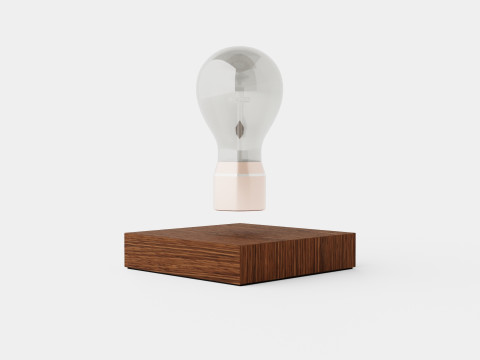 Flyte Buckminster Lamp 3D मॉडल