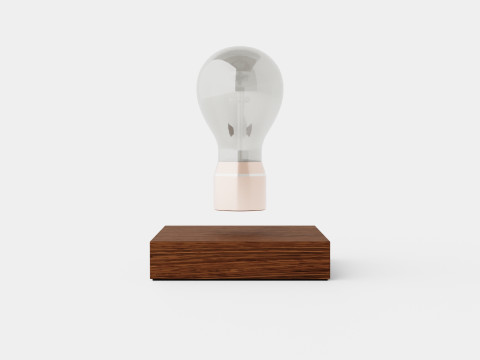 Flyte Buckminster Lamp 3D Model