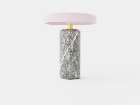 Trip - Silver Rose Model 3D