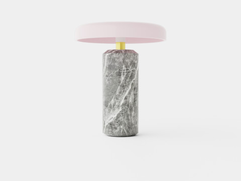 Trip - Silver Rose Model 3D