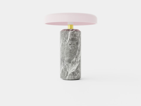Trip - Silver Rose Model 3D