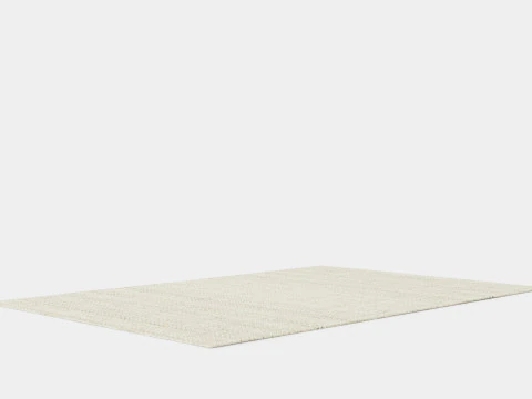Large rug 3D Model