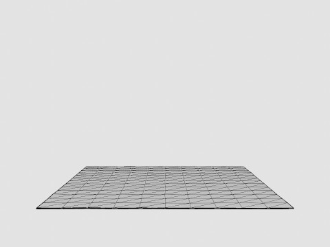 Large rug Modelo 3D