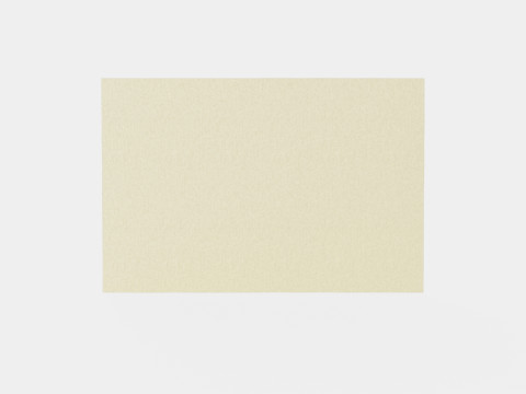 Large rug 3D Model