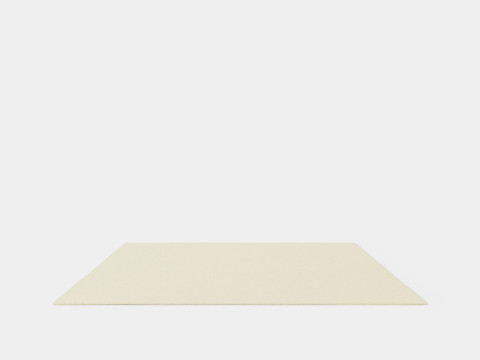 Large rug 3D 模型