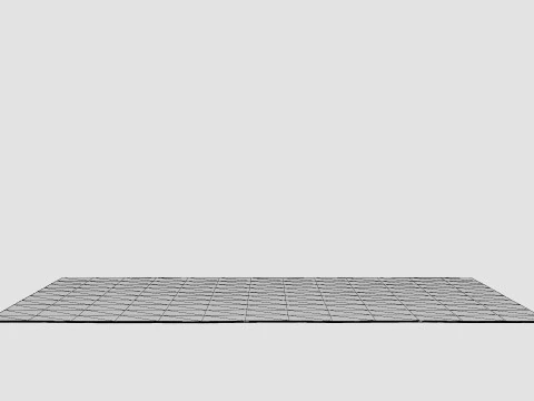 Large rug 3D Model
