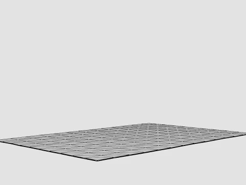 Large rug 3D Model
