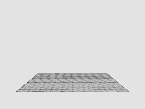 Large rug 3D Model