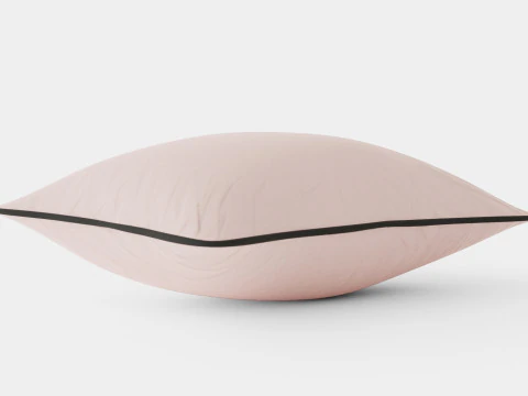 कॉटन वेलवेट पाउडर गुलाबी रंग में कुशन कवर 3D मॉडल