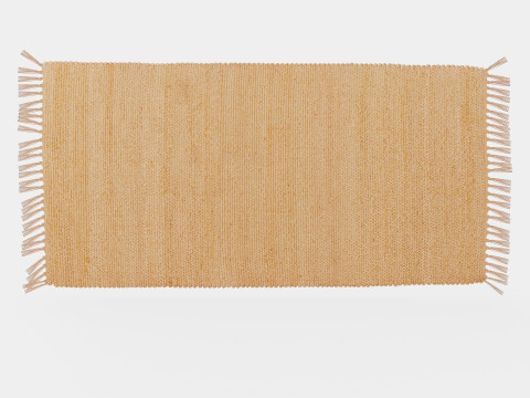 Rug in jute 3D Model