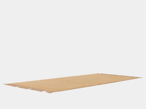 Rug in jute 3D Model