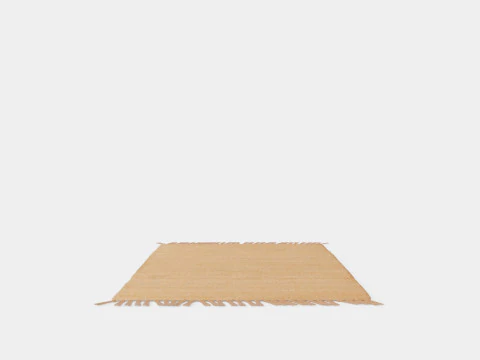 Rug in jute 3D Model