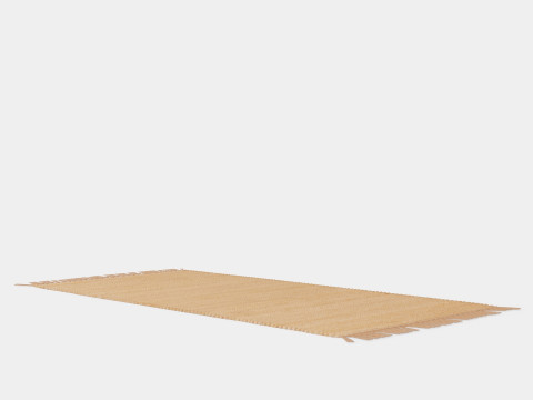 Rug in jute Modello 3D