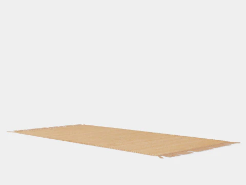 Rug in jute 3D Model