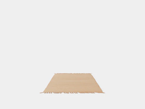 Rug in jute 3D Model