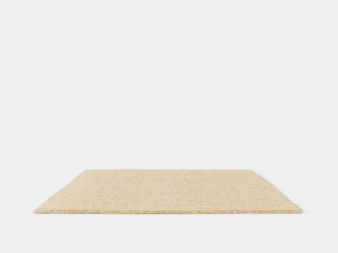 Large rug in sturdy 3D Model