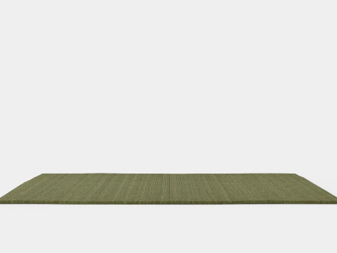 Large rug in sturdy 3D Модель