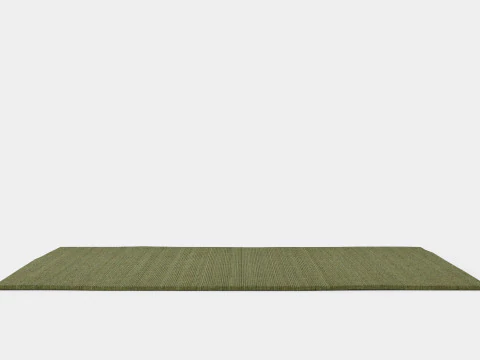 Large rug in sturdy 3D Model