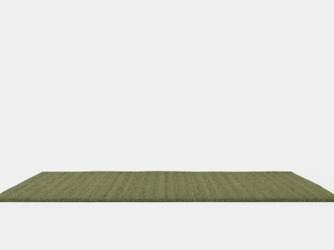 Large rug in sturdy 3D Модель