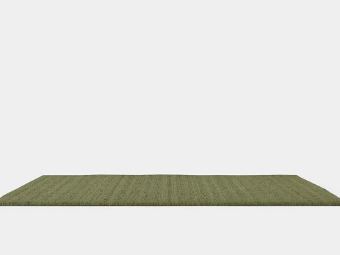 Large rug in sturdy 3D Model