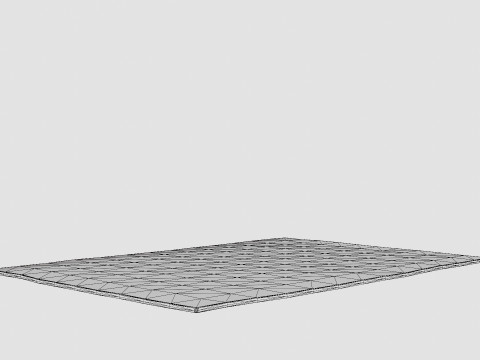 Large rug in sturdy 3D Модель