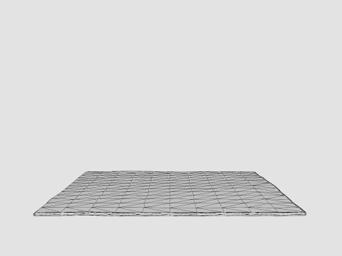 Large rug in sturdy 3D Модель