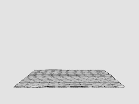Large rug in sturdy 3D Model