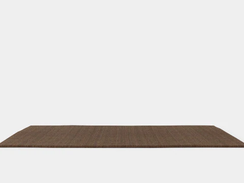 Large rug in sturdy 3D Model
