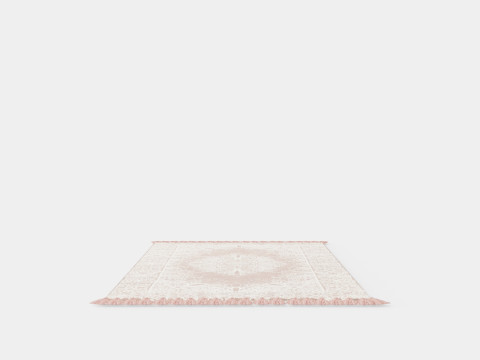 Rectangular rug with tassels 3D Модель