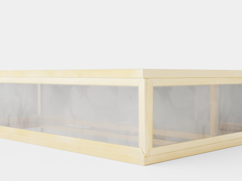 Rectangular jewelry box in clear glass 3D Model