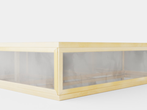 Rectangular jewelry box in clear glass 3D Model