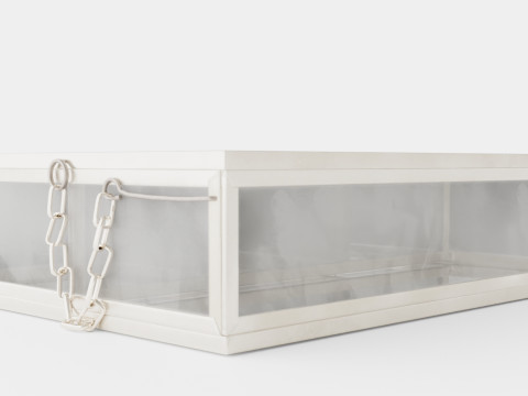 Rectangular jewelry box in clear glass Model 3D