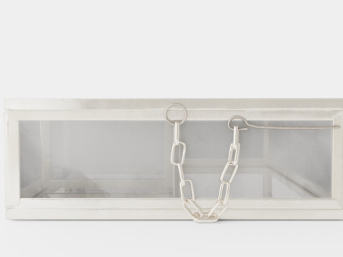 Rectangular jewelry box in clear glass Model 3D