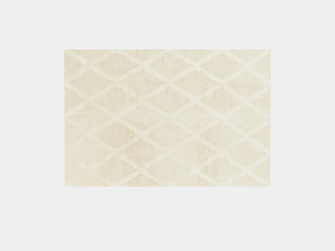 Textured Wool Rug 3D Model