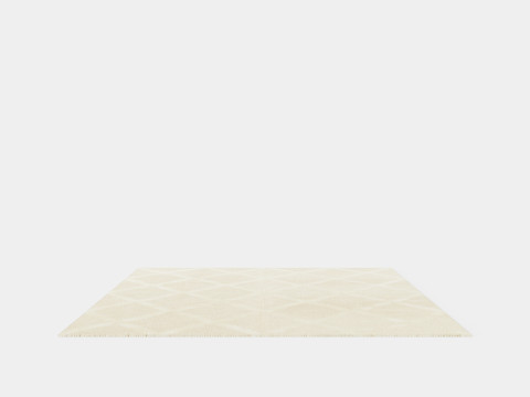 Textured Wool Rug 3D Model