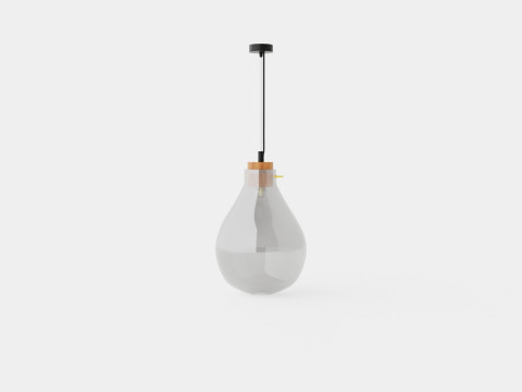 Glass ceiling pendant lamp 3D Model