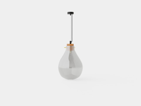 Glass ceiling pendant lamp 3D Model