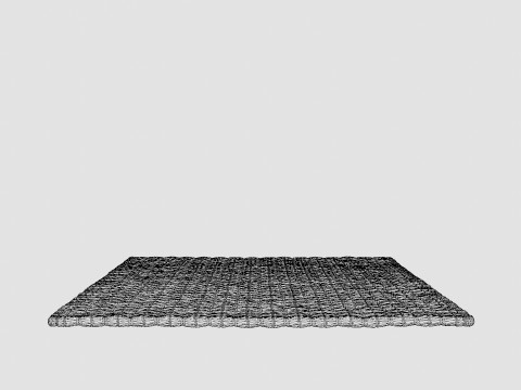 Doormat in braided jute with anti-slip protectors underneath 3D Model