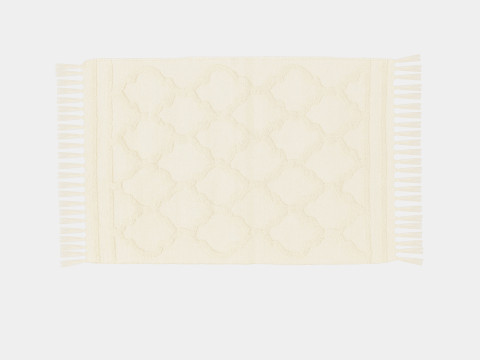 Small rug in a recycled cotton weave with a tufted pattern 3D Model