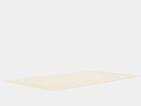 Small rug in a recycled cotton weave with a tufted pattern 3D Model