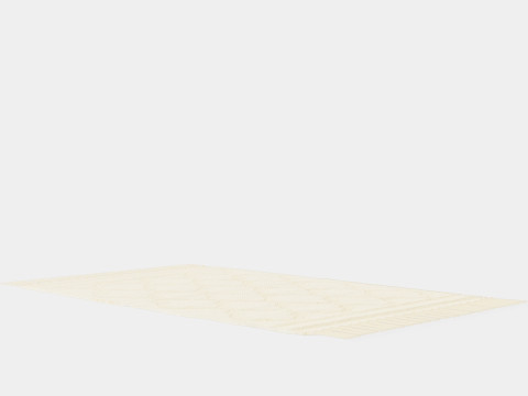 Small rug in a recycled cotton weave with a tufted pattern 3D Модель