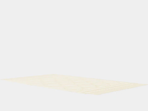 Small rug in a recycled cotton weave with a tufted pattern 3D Model