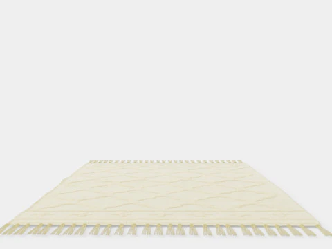 Rectangular rug in woven quality 3D Model