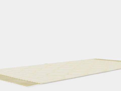 Rectangular rug in woven quality 3D Model