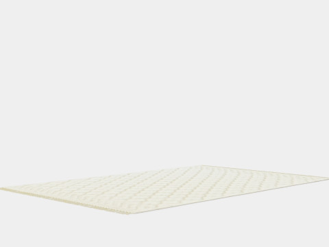Large Carpet With Tassels Light Beige 3D Model