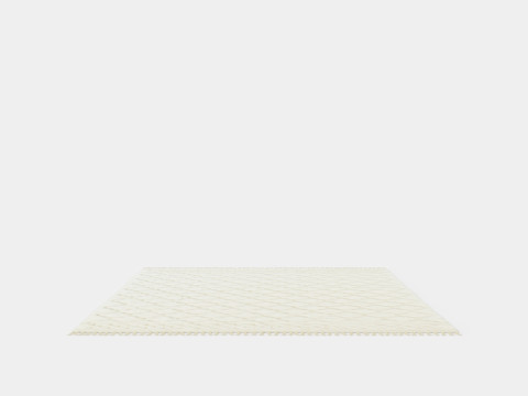 Large Carpet With Tassels Light Beige 3D Model
