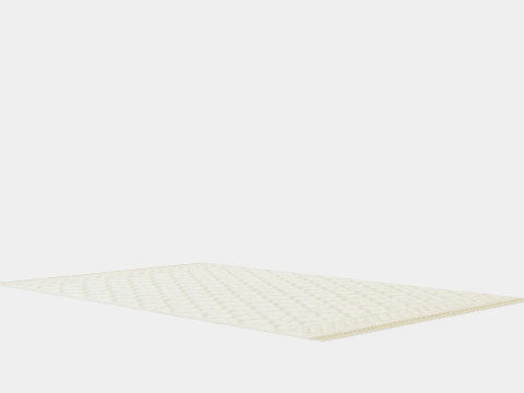 Large Carpet With Tassels Light Beige 3D Model