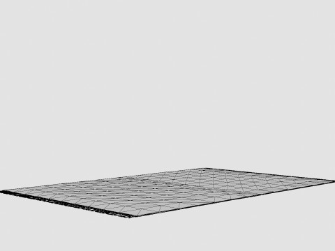 Large Carpet With Tassels Light Beige 3D Model